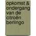 Opkomst & ondergang van de Citroën Berlingo