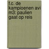 F.C. De Kampioenen AVI M3: Paulien gaat op reis door Onbekend