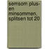 Semsom plus- en minsommen, splitsen tot 20