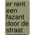 Er rent een fazant door de straat