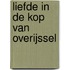 Liefde in de kop van Overijssel