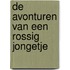 De avonturen van een rossig jongetje