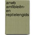 ANWB Amfibieën- en reptielengids