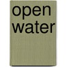 Open water door Caleb Azumah Nelson