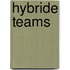 Hybride teams