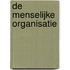 De menselijke organisatie