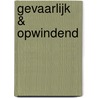 Gevaarlijk & opwindend by Trish Morey