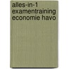 Alles-in-1 examentraining Economie havo by Paul Bloemers