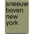 Sneeuw boven New York