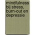 Mindfulness bij stress, burn-out en depressie