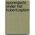 Sporenjacht onder het Hubertusplein