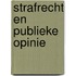 Strafrecht en publieke opinie