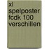 XL Spelposter FCDK 100 verschillen