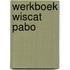 Werkboek Wiscat Pabo