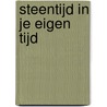 Steentijd in je eigen tijd door Dorothee Olthof