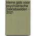 Kleine gids voor psychiatrische ziektebeelden - 2021