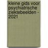 Kleine gids voor psychiatrische ziektebeelden - 2021 by Witte Andy De