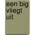 Een big vliegt uit
