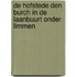 De Hofstede Den Burch in de Laanbuurt onder Limmen