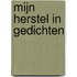 Mijn herstel in gedichten