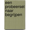 Een probeersel naar begrijpen door Lode Maryns