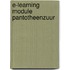 E-learning module Pantotheenzuur
