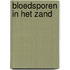 Bloedsporen in het zand