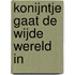 Konijntje gaat de wijde wereld in