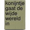Konijntje gaat de wijde wereld in door Jessica Meserve