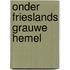 Onder Frieslands grauwe hemel