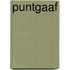 Puntgaaf