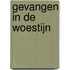 Gevangen in de woestijn