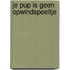 Je pup is geen opwindspeeltje