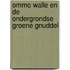 Ommo Walle en de ondergrondse groene gnuddel