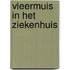 Vleermuis in het ziekenhuis