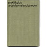 Praktijkgids Arbeidsomstandigheden by W. Dieks