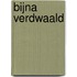 Bijna verdwaald