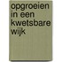 Opgroeien in een kwetsbare wijk