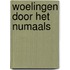 Woelingen door het Numaals