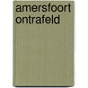 Amersfoort ontrafeld by Jan Niessen