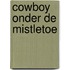 Cowboy onder de mistletoe