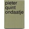 Pieter Quint Ondaatje by Rietje de Bruijn