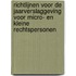 Richtlijnen voor de jaarverslaggeving voor micro- en kleine rechtspersonen