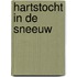 Hartstocht in de sneeuw