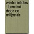 Winterliefdes - Bemind door de miljonair