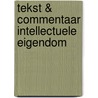Tekst & Commentaar Intellectuele eigendom door P.G.F.A. Geerts