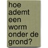 Hoe ademt een worm onder de grond?