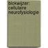 Blokwijzer: Cellulaire neurofysiologie