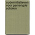 Ouderinitiatieven voor gemengde scholen