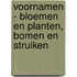 VOORNAMEN - BLOEMEN en PLANTEN, BOMEN en STRUIKEN